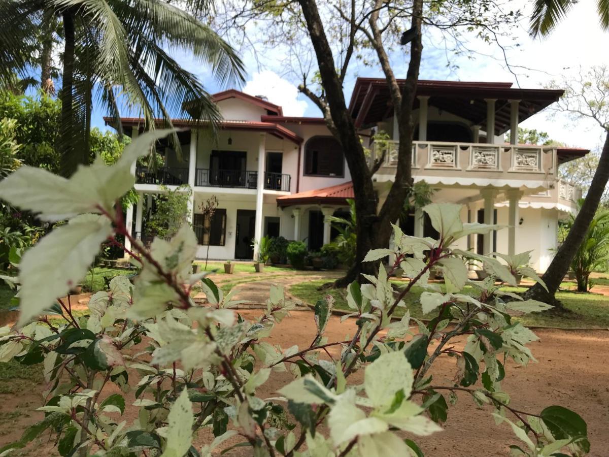 Green Edge Residences Dambulla Dış mekan fotoğraf