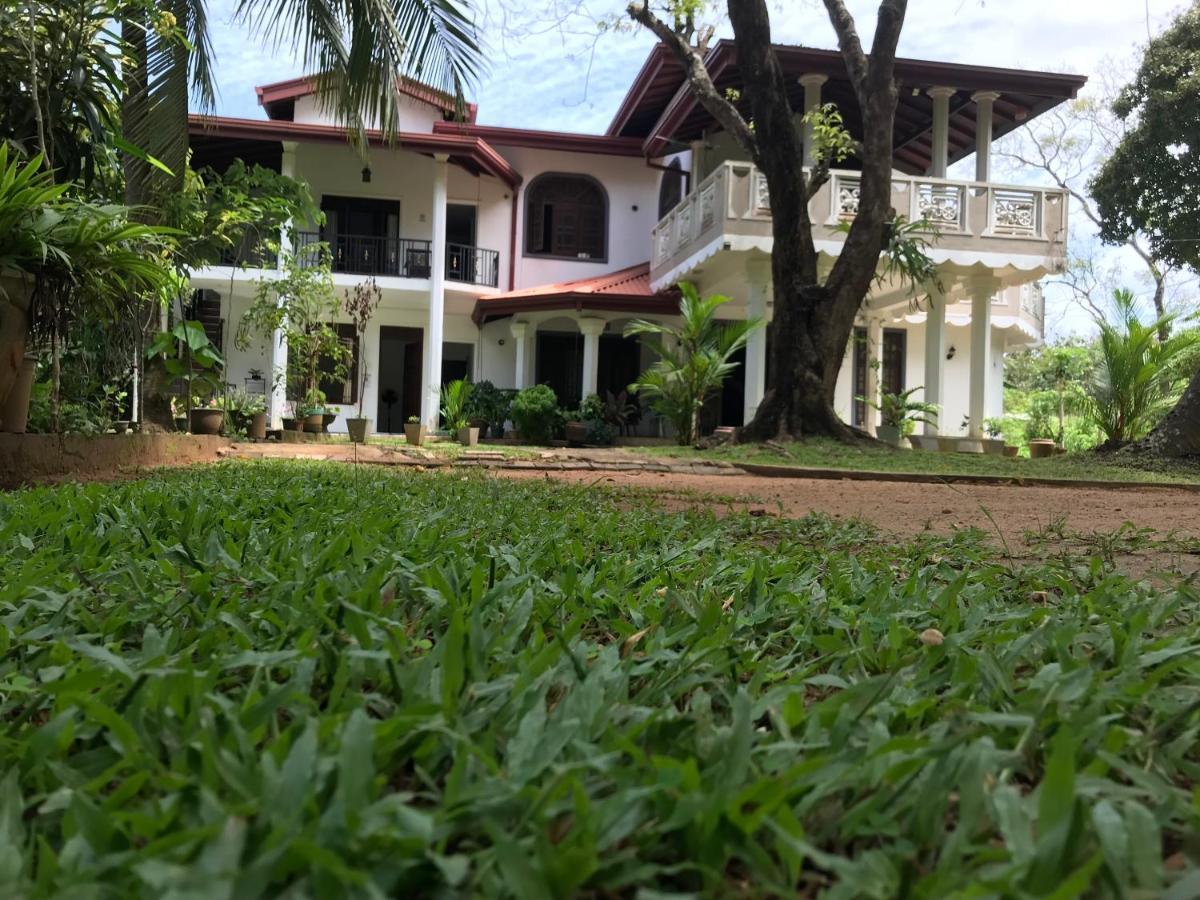 Green Edge Residences Dambulla Dış mekan fotoğraf